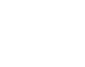 LogoBlanco